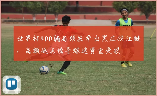世界杯app骗局频发牵出黑庄投注链，高额返点诱导球迷资金受损