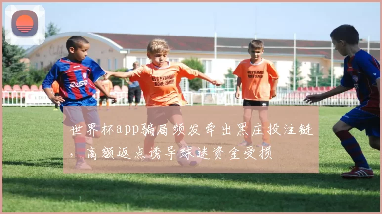 世界杯app骗局频发牵出黑庄投注链，高额返点诱导球迷资金受损
